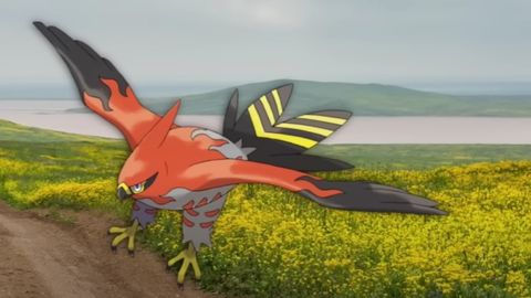Image of Talonflame