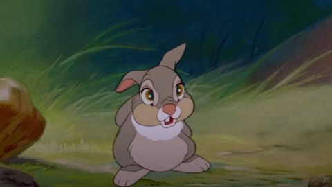 Image of Thumper
