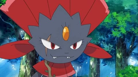 Image of Weavile