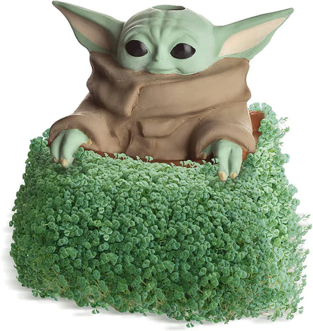 STAR WARS THE CHILD IN SATCHEL CHIA PET DECORATIVE POTTERY PLANTER