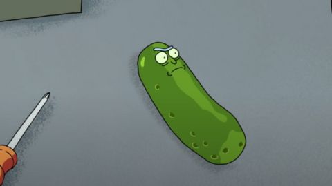 Pickle Rick (S3E3)