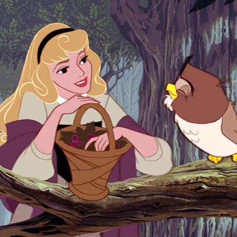 Which live action Disney Princess is your favorite? : r/disneyprincess