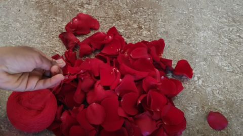 Rose Petals