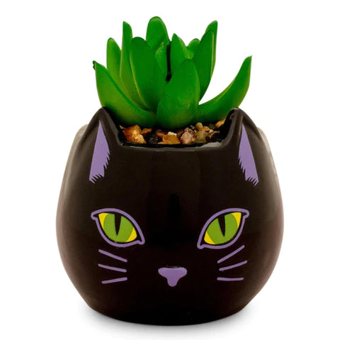 DISNEY HOCUS POCUS "BINX IS MY BOO" CERAMIC PLANTER WITH ARTIFICIAL SUCCULENT