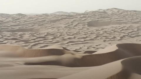 Setting in a Dune Scene