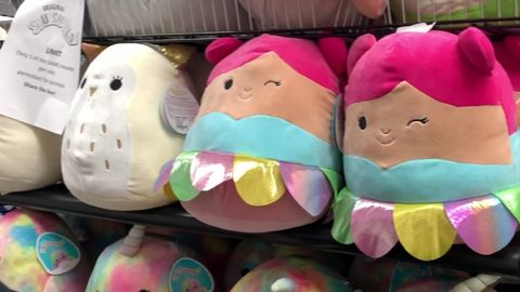 Squishmallow on Shelves