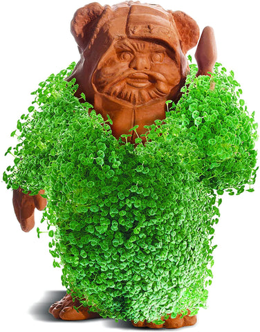 Star Wars Ewok Chia Pet Decorative Pottery Planter