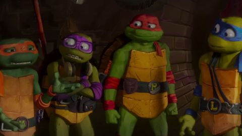 Teenage Mutant Ninja Turtles 