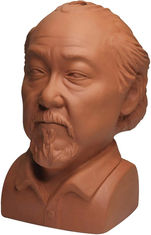 The Karate Kid Mr. Miyagi Chia Pet Decorative Pottery Planter