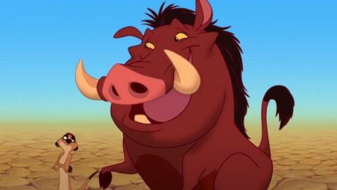 Timon and Pumbaa from The Lion King