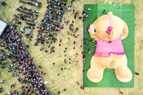 How Big Is The World's Biggest Teddy Bear?