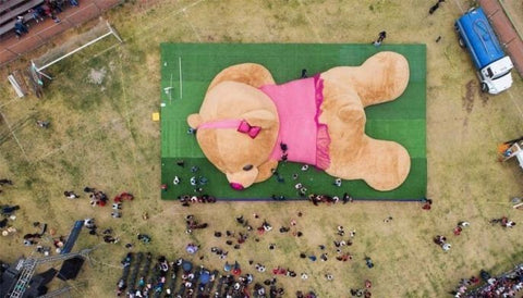 Where The Biggest Stuffed Animal Is Located