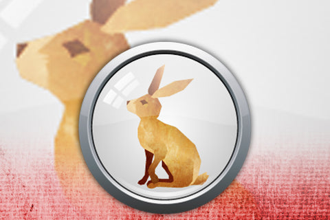 Year of the Rabbit: An Overview