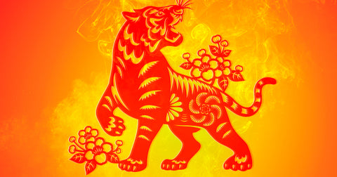 Year of the Tiger: A Quick Description