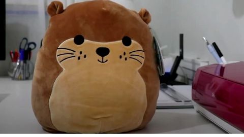 brown squishmallow