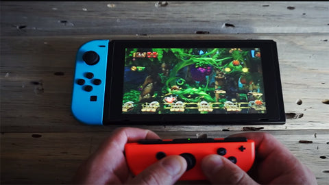 playing on a nintendo switch