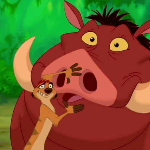 Timon and Pumbaa from The Lion King