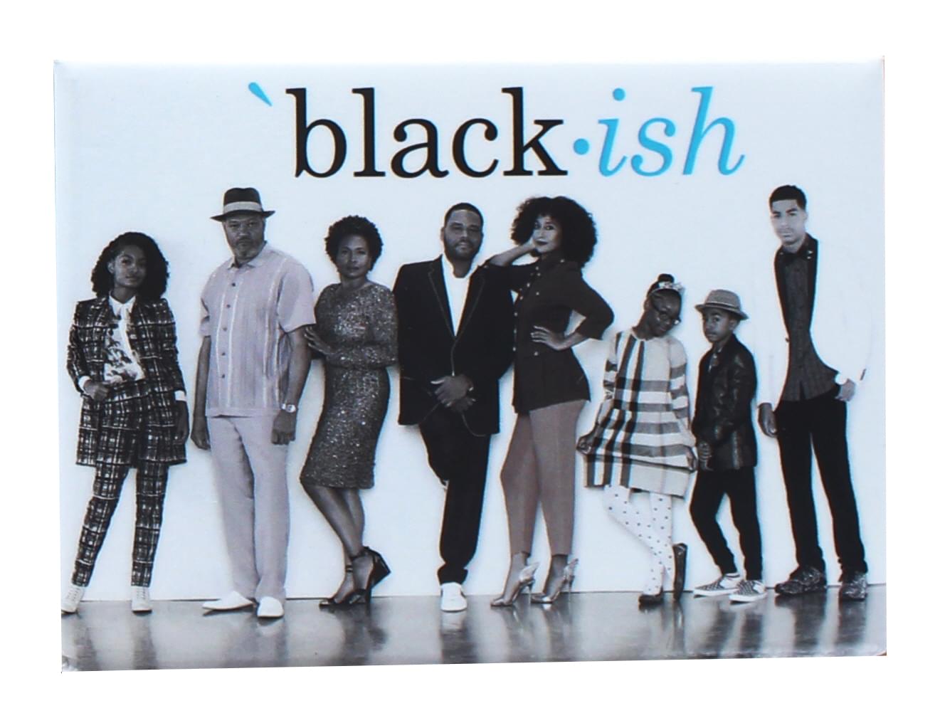 Black-ish Cast 2.5 X 3.5 Inch Magnet