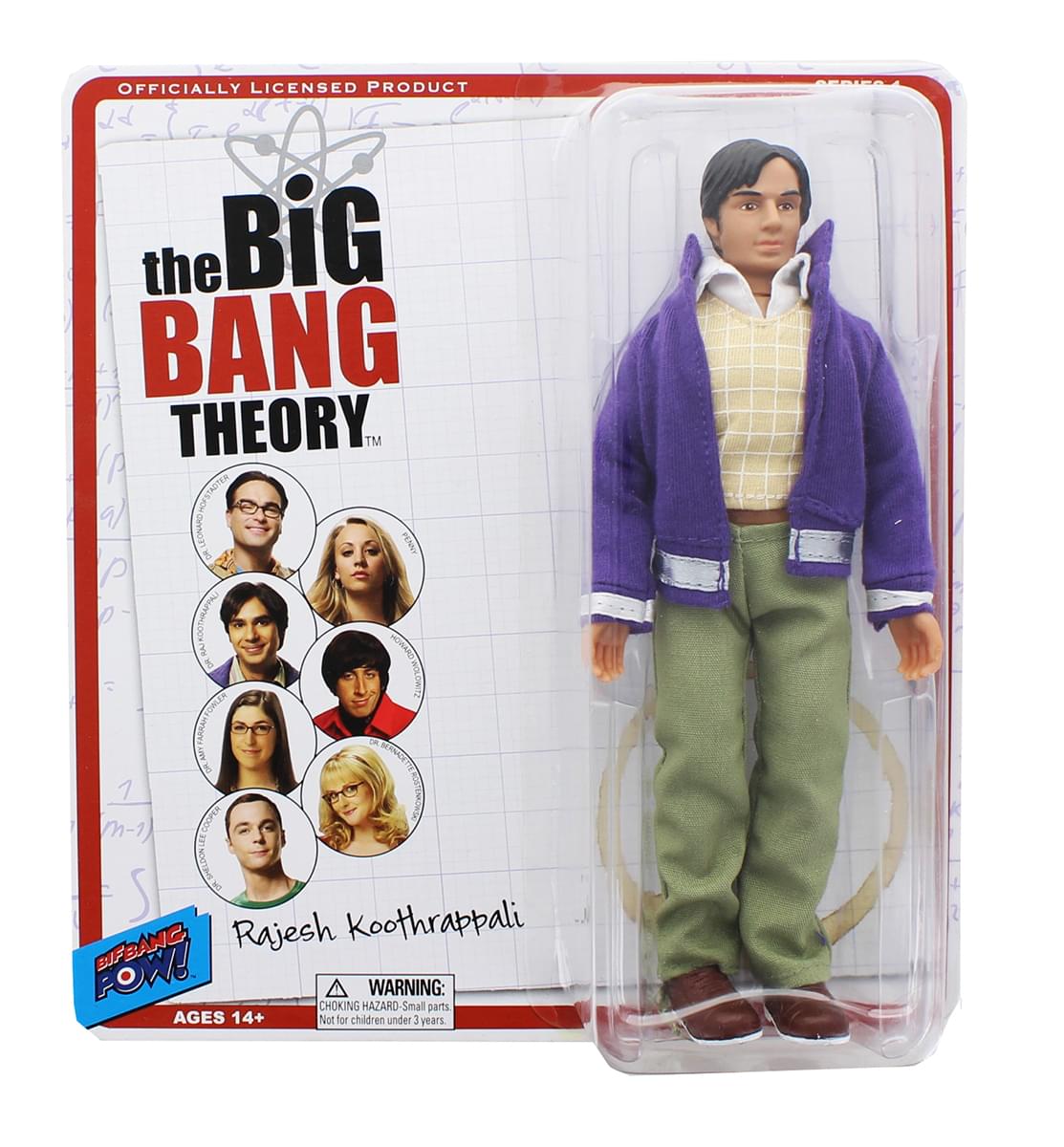 Big Bang Theory 8 Retro Clothed Action Figure, Raj