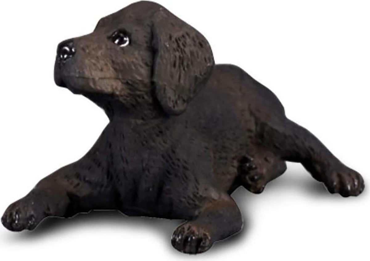 labrador figure