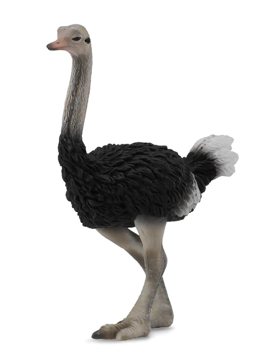 CollectA Wildlife Collection Miniature Figure , Ostrich