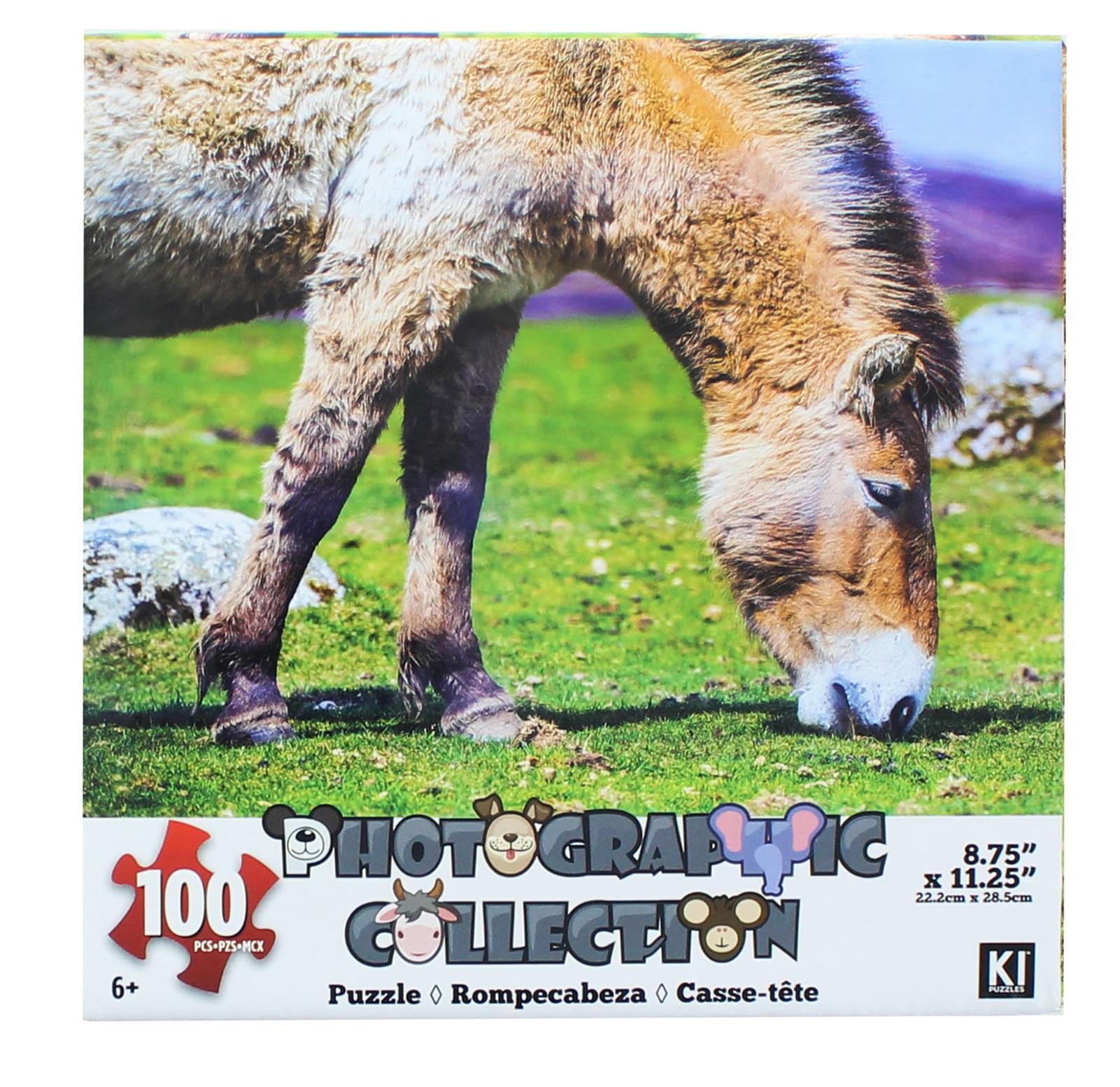 Donkey 100 Piece Photographic Collection Jigsaw Puzzle
