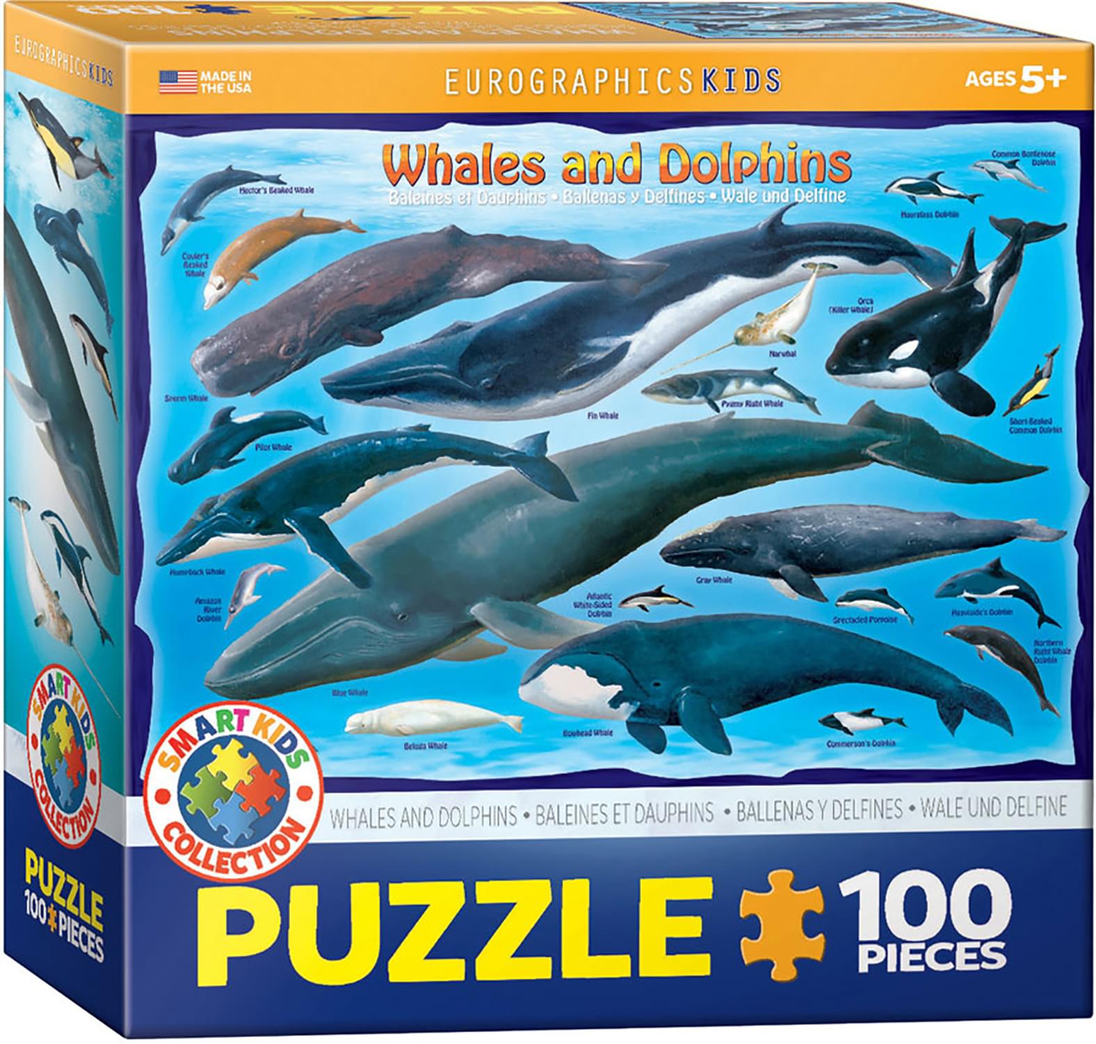 Whales & Dolphins 100 Piece Jigsaw Puzzle