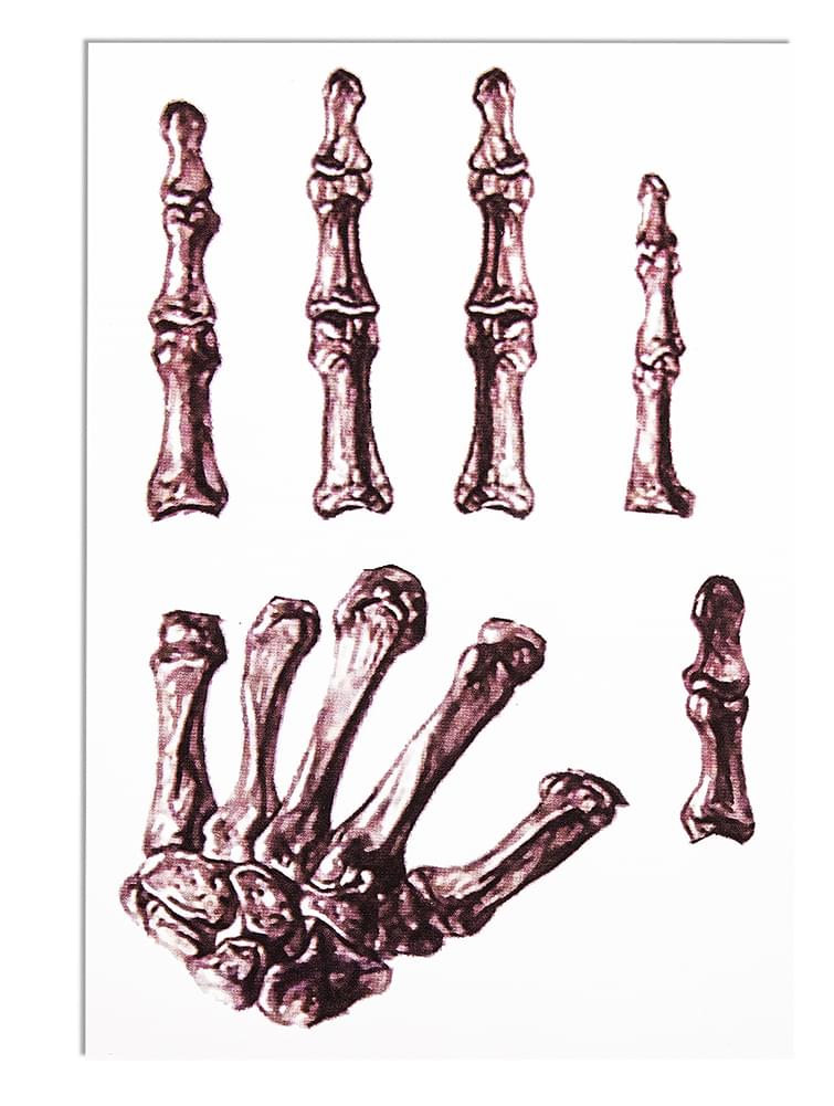 Skeleton Bones Hand Tattoo Costume Accessory Toynk Toys