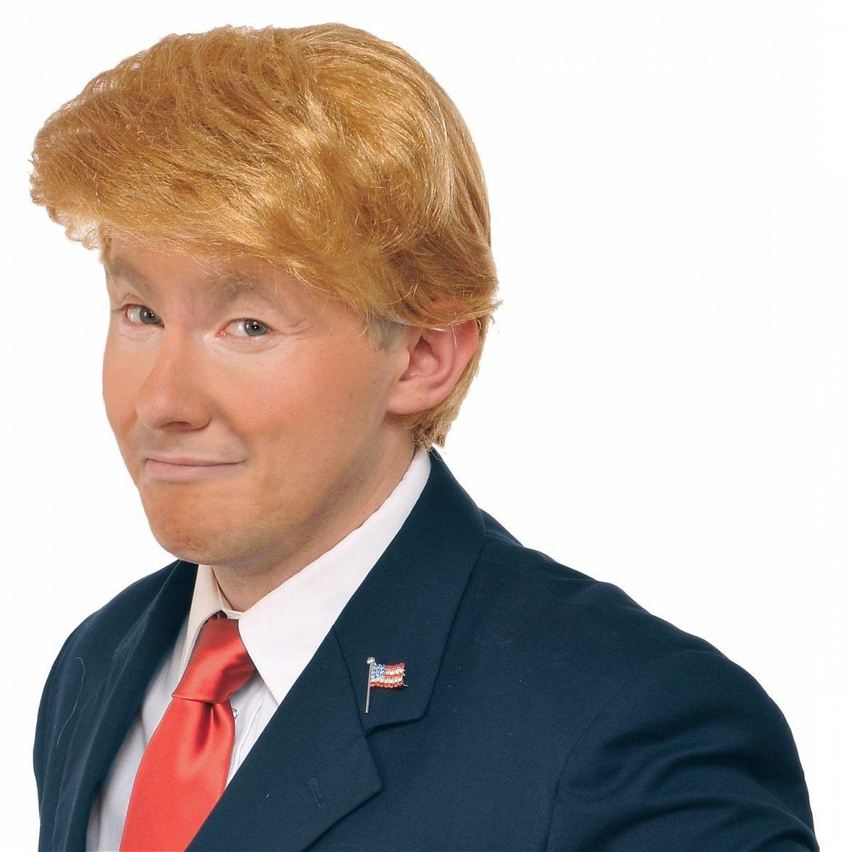 Mr. Billionaire (Donald Trump) Costume Wig Adult | Free Shipping