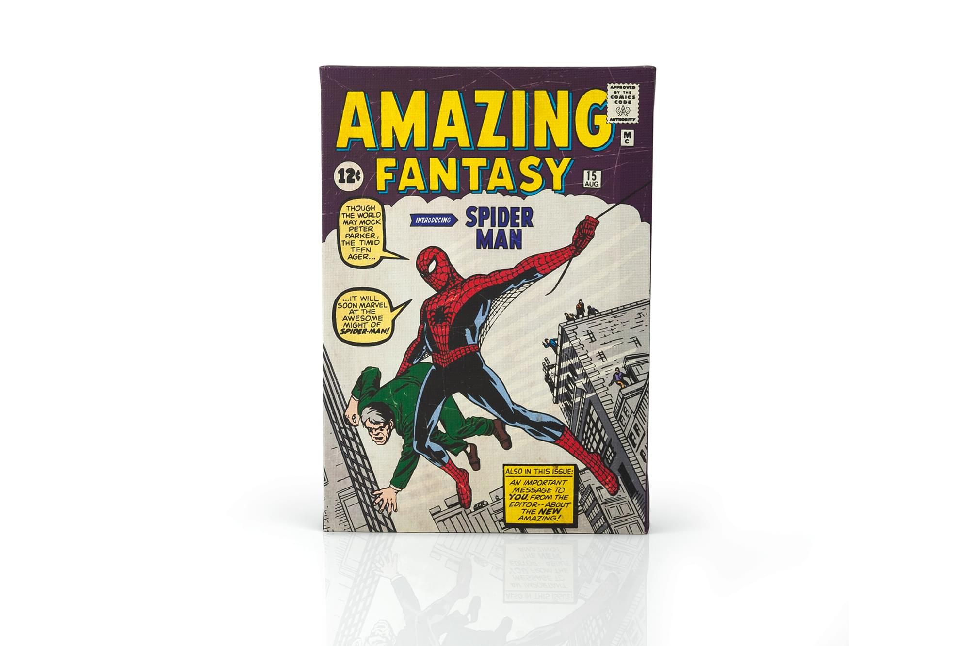 Marvel Comics Spider-Man Amazing Fantasy #15 Comic Book Canvas , 9 X 5 Inches