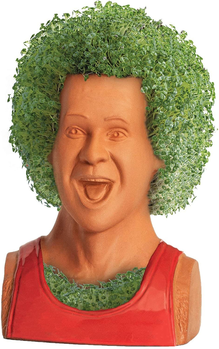 Chia Pet Bob Ross (The Joy of Painting) - Decorative Pot Easy to