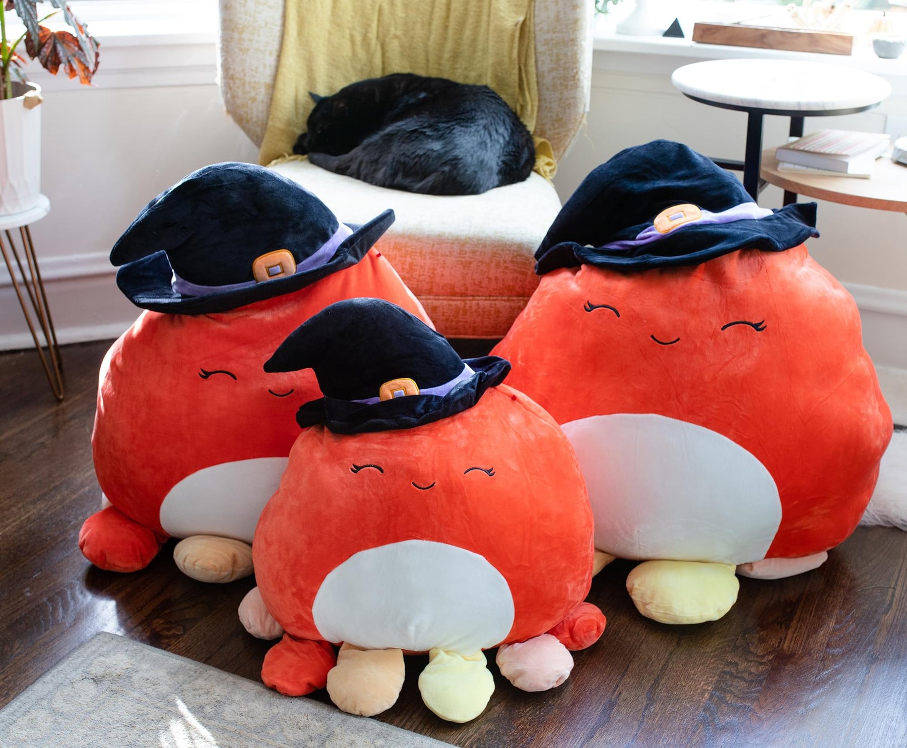 Biggest Squishmallow Collection | lupon.gov.ph