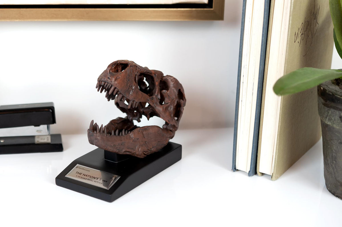 The Nation&#39;s T-Rex Skull Statue | 6-Inch Smithsonian Fossil Replica| 1:10 Scale