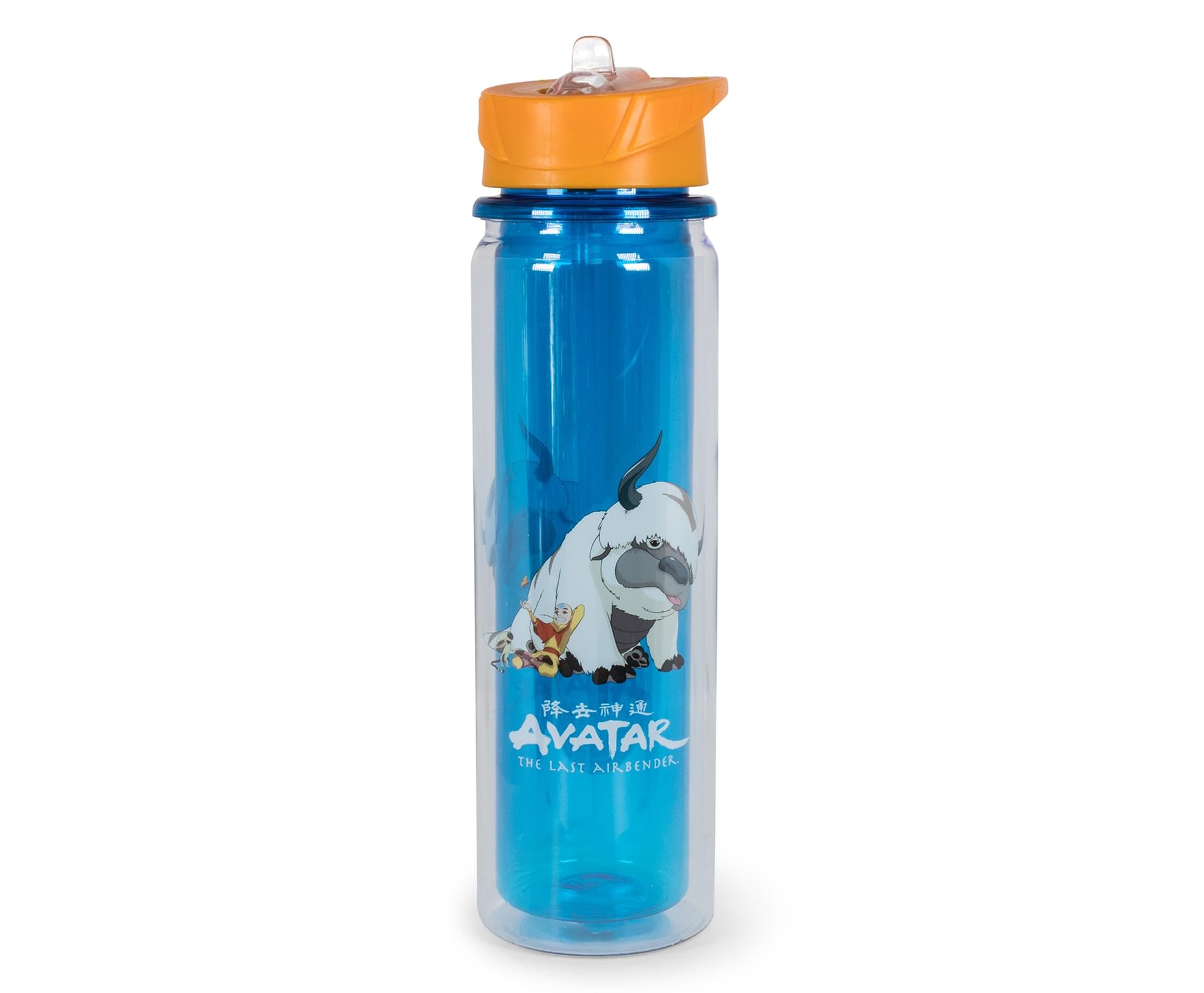 Avatar: The Last Airbender Aang And Appa Water Bottle , Holds 16 Ounces