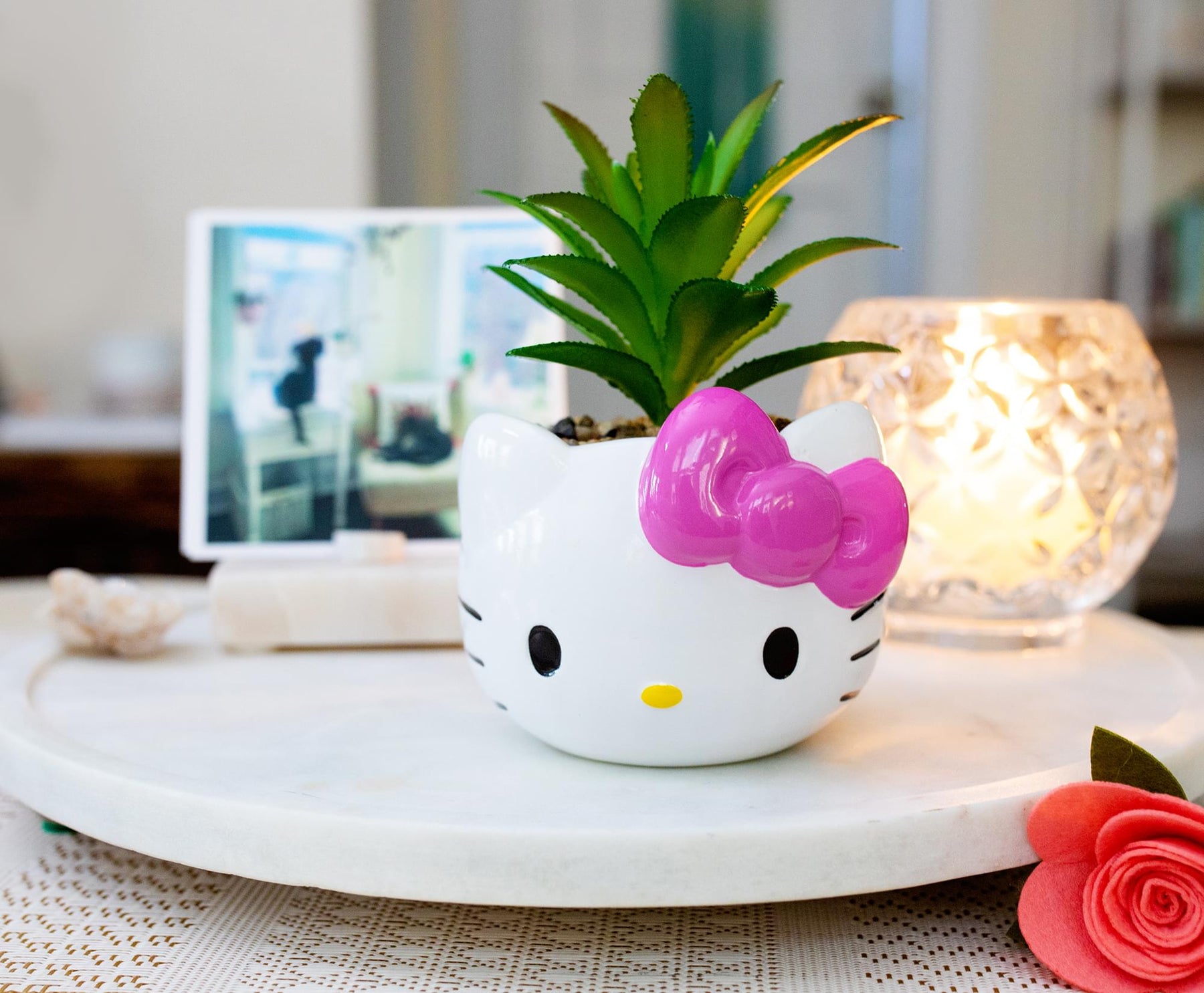 hello kitty flower pot