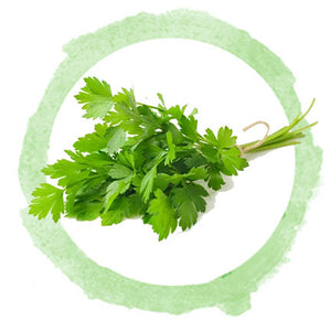 Parsley leaves