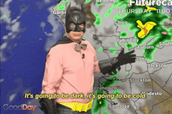 NIPYATA! Bat Man Halloween Fun