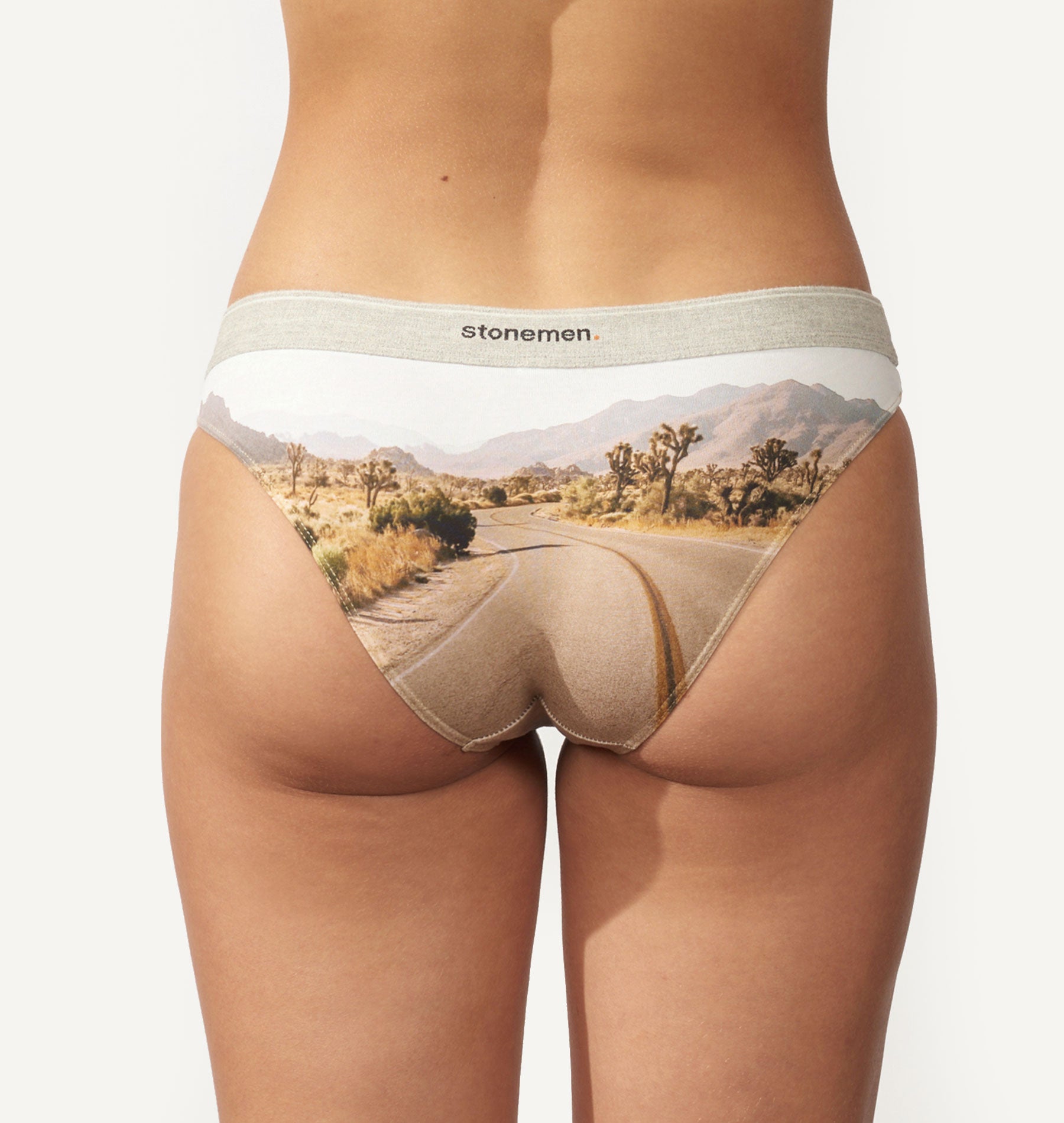 Cheeky Brief / Essentials / Marle Grey