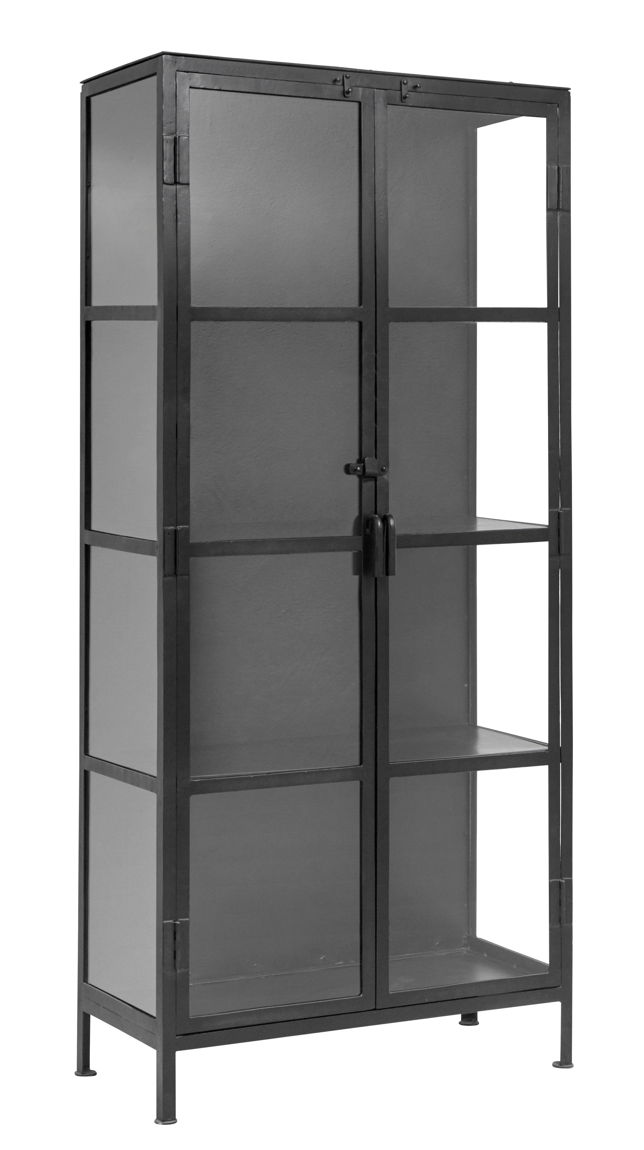 Black Iron And Glass Cabinet The Forest Co