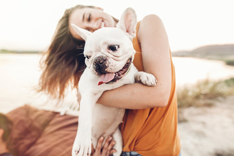 dog and owner playing on the beach 