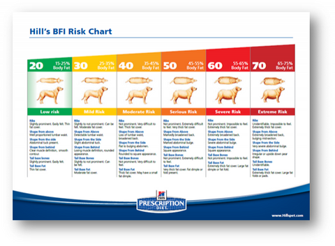 body condition scoring chart for dogs