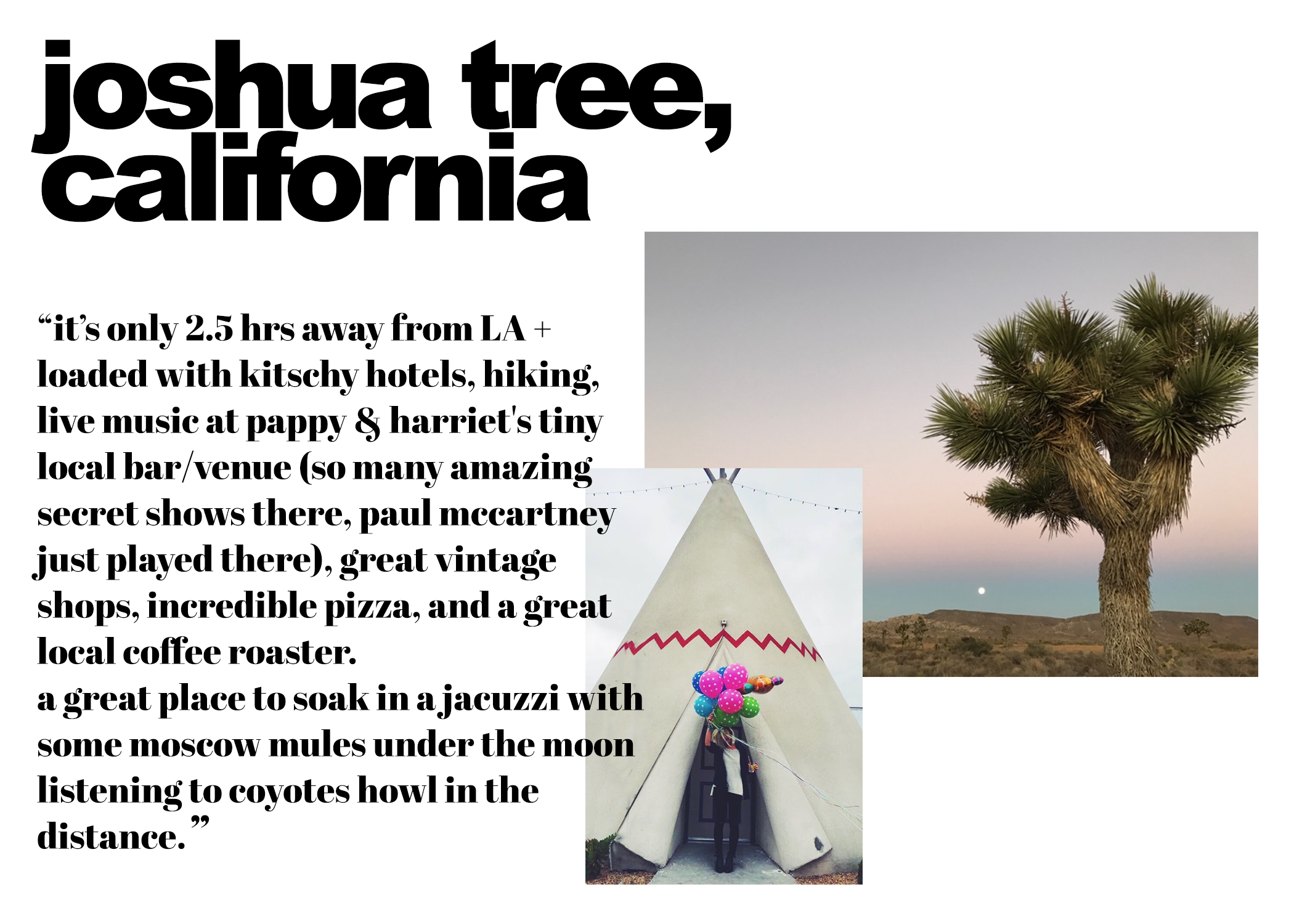 joshua tree