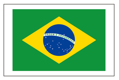 Brazil Brazilian Flag Large Tattoo Party Favors Premium Temporary Tattoos