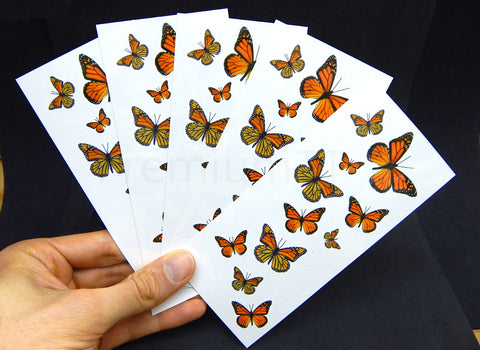 Monarch Butterfly Temporary Tattoos