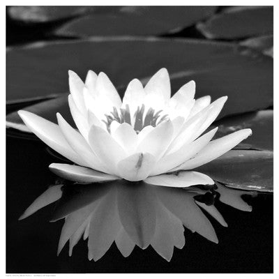Crystal Reflection II