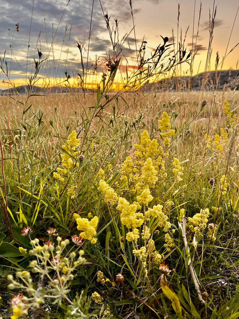 Lilldal 210 Sustainable Workwear Nature Gullbringa Västkusten Sweden