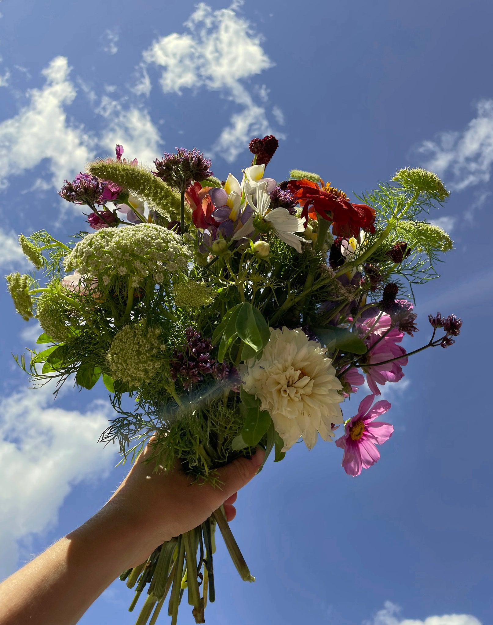 Lilldal 210 Heavenly Harvest Flowers