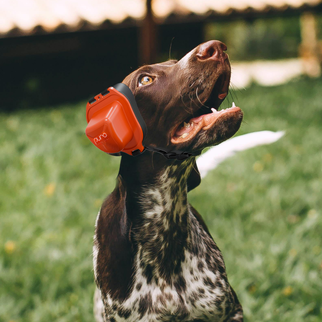 PuroPup Dog Earmuffs