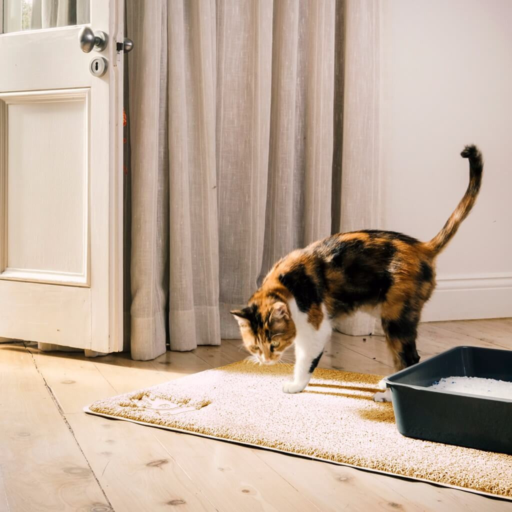 extra large kitty litter mat