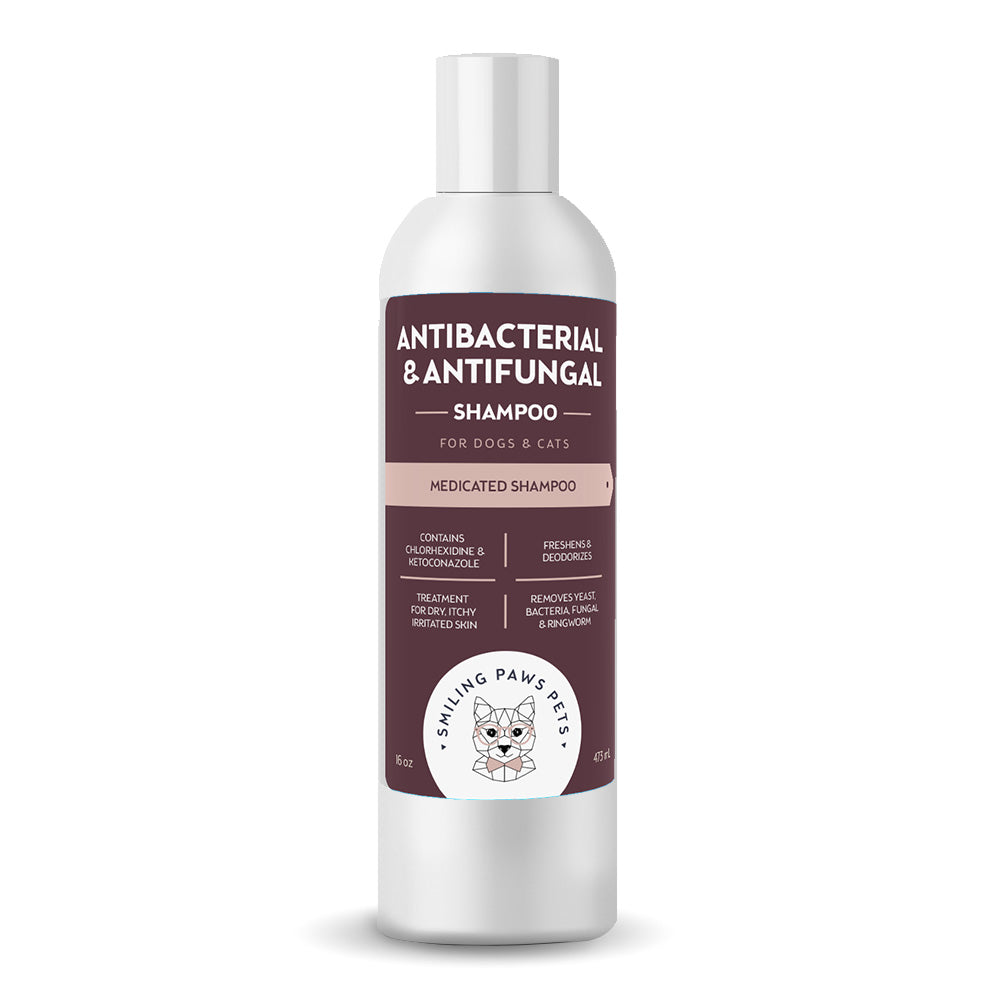 antibacterial and antifungal dog shampoo